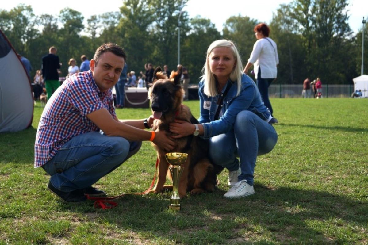 Krajowa Wystawa Psów w Bytomiu, 19.09.2015 r.