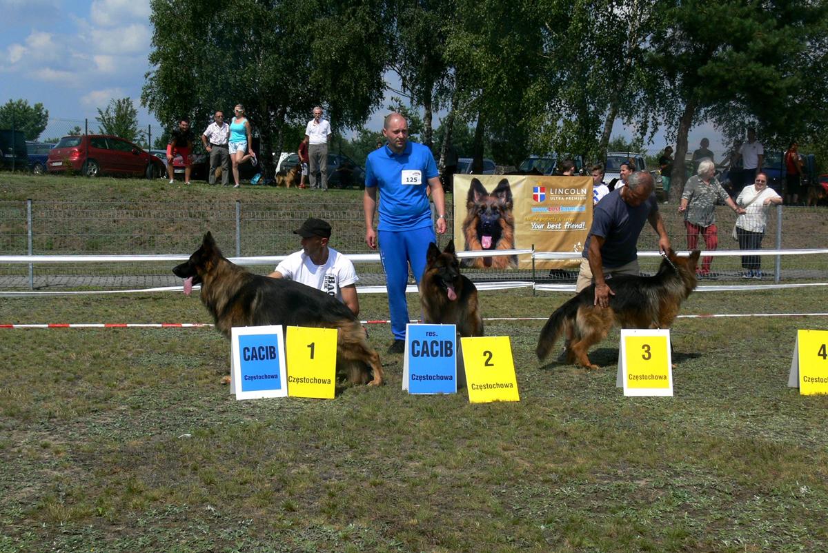 Międzynarodowa Wystawa Psów Rasowych Częstochowa-Konopiska
