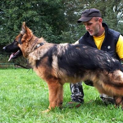 025 Boss Haker Galeria Abi Boss Haker 1 20170924 2037002659