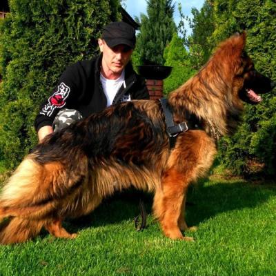 027 Boss Haker Galeria Rossa Boss Haker 7 20171028 2001261429