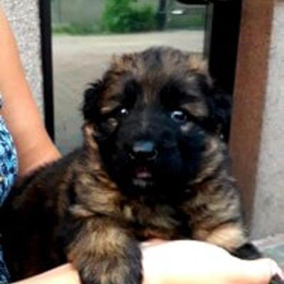 006 Boss Haker Miot A Mamy Ju 4 Tyg Same Ju Jemy I Wychodzimy Na Podworko 1 20190613 2016785116