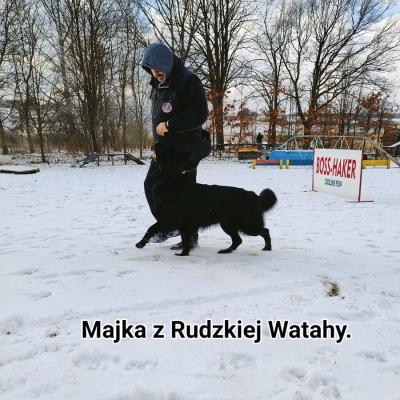 Img 20230205 154106