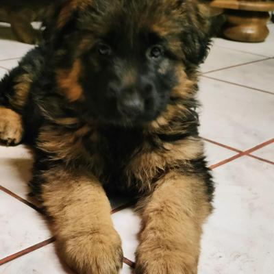 015 Boss Haker Galeria Miot E 2023 Mamy Ju 6tyg 4 20230318 1073708878