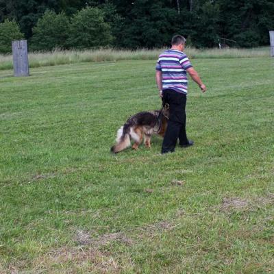 004 Boss Haker Hossa Hossa Boss Hakerpl 16 20170404 1105388940