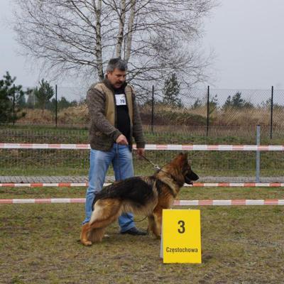 007 Boss Haker Hossa Hossa Boss Hakerpl 13 20170404 1125420710