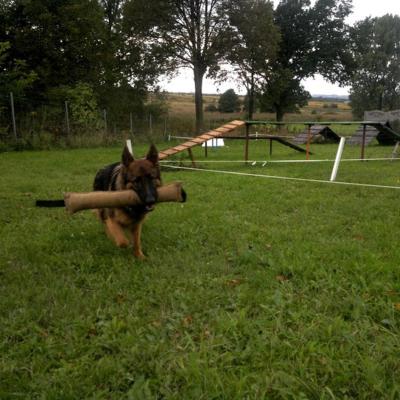 008 Boss Haker Hossa Hossa Boss Hakerpl 12 20170404 1229564222