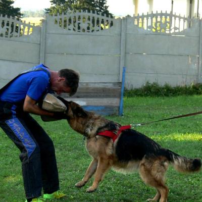 020 Boss Haker Hossa Hossa Oko W Oko Z Pozorantem 1 20171031 2034711839