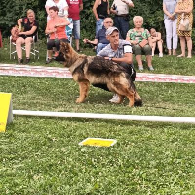 003 Boss Haker Carmel Pierwsze Wystawy Carmel 1 20210806 1758792814