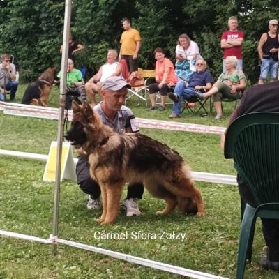 005 Boss Haker Carmel Wystawa Czstochowa 1 20210806 1441508490