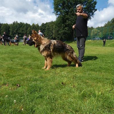 006 Boss Haker Carmel Wystawa Midzynarodowa Rybnik 28 29 08 2021r 1 20210829 2017677861