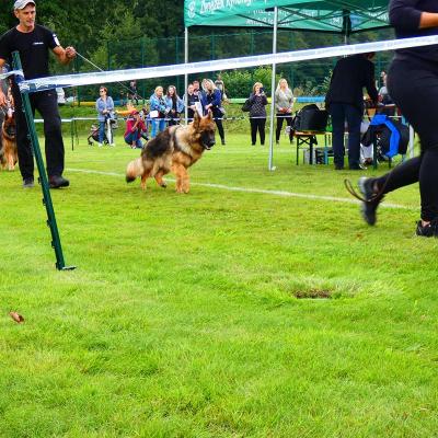 007 Boss Haker Carmel Wystawa Midzynarodowa Rybnik 28 29 08 2021r 2 20210829 1812215224