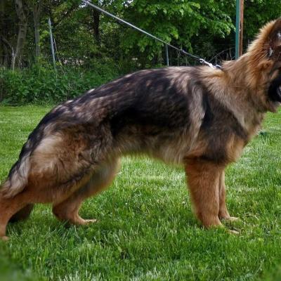009 Boss Haker Carmel Ruda Sfora Zozy 1 20211031 1432203083