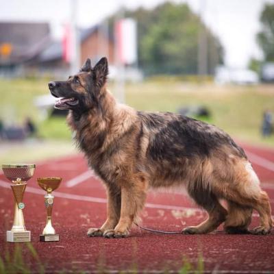 022 Boss Haker Carmel Wystawa Gniazdow 2023r 3 20230522 1729972088