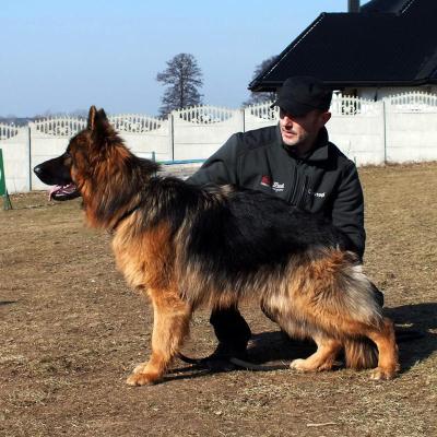 005 Boss Haker Odemon Szkolimy Do Wystaw 1 20180304 1078957994