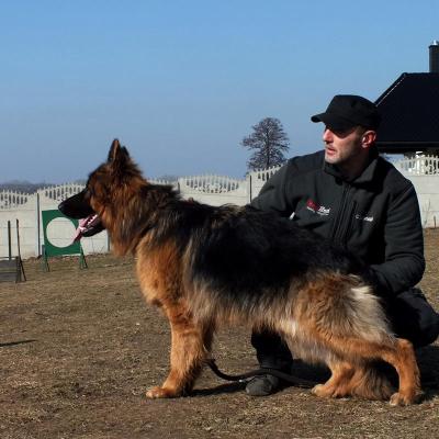 006 Boss Haker Odemon Szkolimy Do Wystaw 2 20180304 1814766232