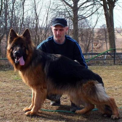 008 Boss Haker Odemon Szkolenie Odemona 2 20180311 1114968852