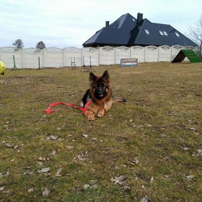 010 Boss Haker Odemon Szkolenie Odemona 1 20180317 1250839950