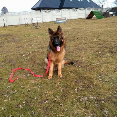 011 Boss Haker Odemon Szkolenie Odemona 2 20180317 1453370443