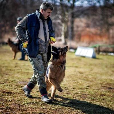 012 Boss Haker Odemon Odemon Azi Polandszkolenie Bh 1 20180327 1098679946