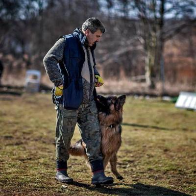 013 Boss Haker Odemon Odemon Azi Polandszkolenie Bh 2 20180327 1383225615