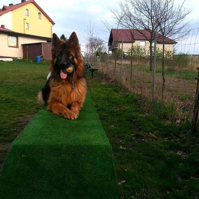 014 Boss Haker Odemon Szkolenie Odemona 1 20180417 1326811809