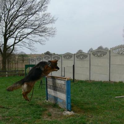 017 Boss Haker Odemon Szkolenie Odemona 4 20180417 1043763192