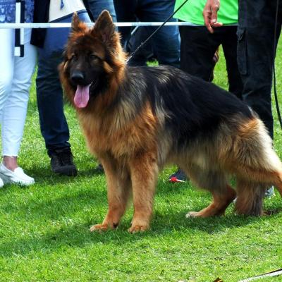 018 Boss Haker Odemon Wystawa Wrocaw Wisznia Maa01 05 2018r 1 20180503 1314014599