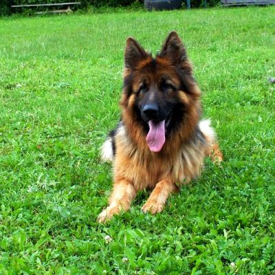 021 Boss Haker Odemon Odemon Na Szkoleniu 1 20180702 1353239832
