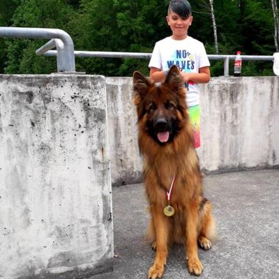 030 Boss Haker Odemon Wystawa Wisa 2019r Klasa Uytkowa Lokata I 3 20190708 2017404674