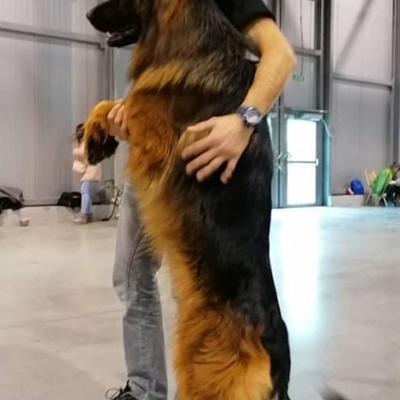 003 Boss Haker Ron William Von Der Zenteiche Ron 3 20200301 1785737618
