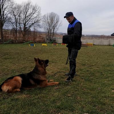 004 Boss Haker Ron William Von Der Zenteiche Ron 4 20200301 1933343972
