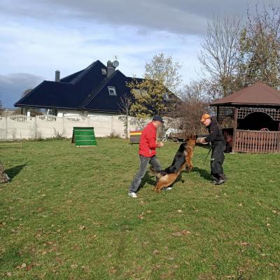 006 Boss Haker Ron William Von Der Zenteiche Ron 6 20200301 1160482917