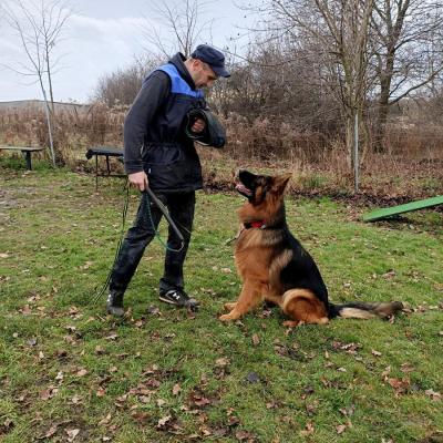 008 Boss Haker Ron William Von Der Zenteiche Do Igpi 1 20200301 1987846950