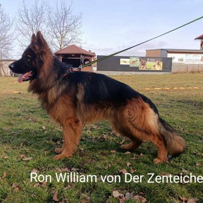 009 Boss Haker Ron William Von Der Zenteiche Ron 1 20200301 1729824505
