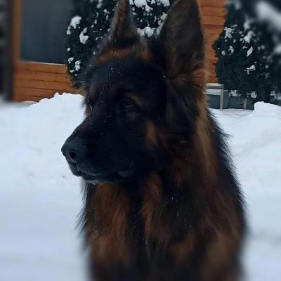 011 Boss Haker Ron William Von Der Zenteiche Ron Pozuje 1 20210207 1853509616