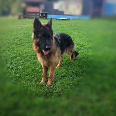 013 Boss Haker Ron William Von Der Zenteiche Synek Rona 8 Miesicy Cyron Boss Haker 1 20210901 2021231446
